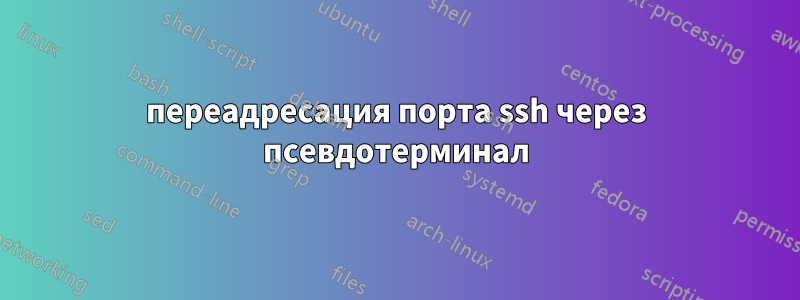 переадресация порта ssh через псевдотерминал