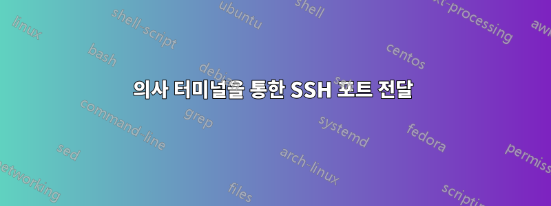 의사 터미널을 통한 SSH 포트 전달