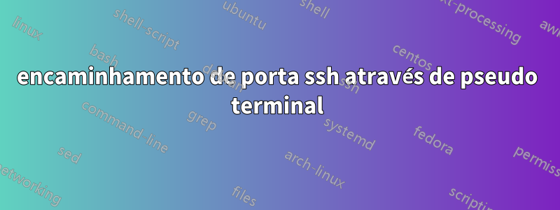 encaminhamento de porta ssh através de pseudo terminal