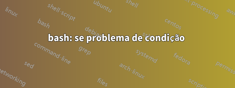 bash: se problema de condição