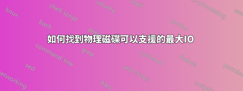 如何找到物理磁碟可以支援的最大IO