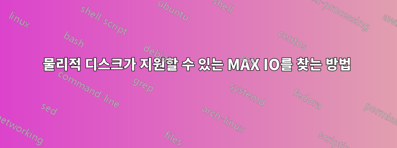 물리적 디스크가 지원할 수 있는 MAX IO를 찾는 방법