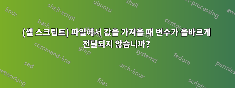 (셸 스크립트) 파일에서 값을 가져올 때 변수가 올바르게 전달되지 않습니까?