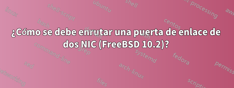 ¿Cómo se debe enrutar una puerta de enlace de dos NIC (FreeBSD 10.2)?