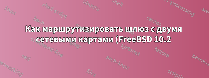 Как маршрутизировать шлюз с двумя сетевыми картами (FreeBSD 10.2)?