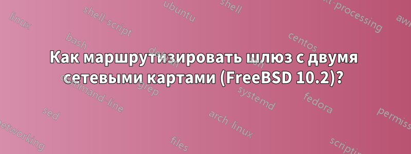 Как маршрутизировать шлюз с двумя сетевыми картами (FreeBSD 10.2)?