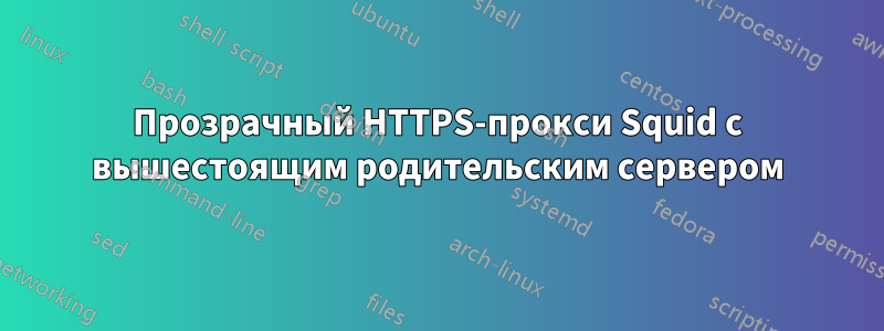 Прозрачный HTTPS-прокси Squid с вышестоящим родительским сервером