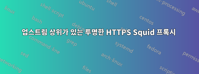 업스트림 상위가 있는 투명한 HTTPS Squid 프록시