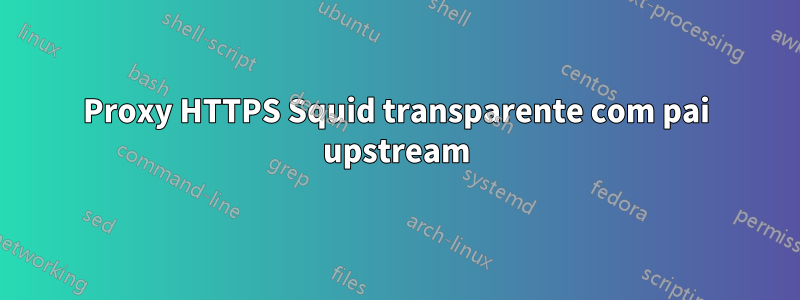 Proxy HTTPS Squid transparente com pai upstream