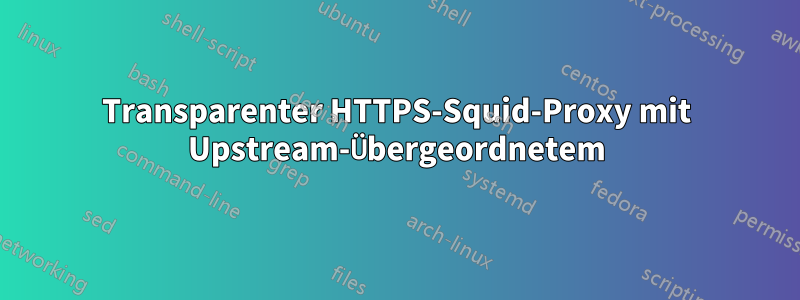 Transparenter HTTPS-Squid-Proxy mit Upstream-Übergeordnetem