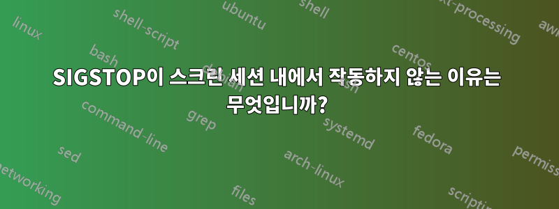 SIGSTOP이 스크린 세션 내에서 작동하지 않는 이유는 무엇입니까?