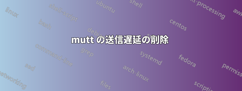 mutt の送信遅延の削除