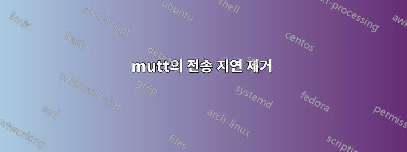 mutt의 전송 지연 제거