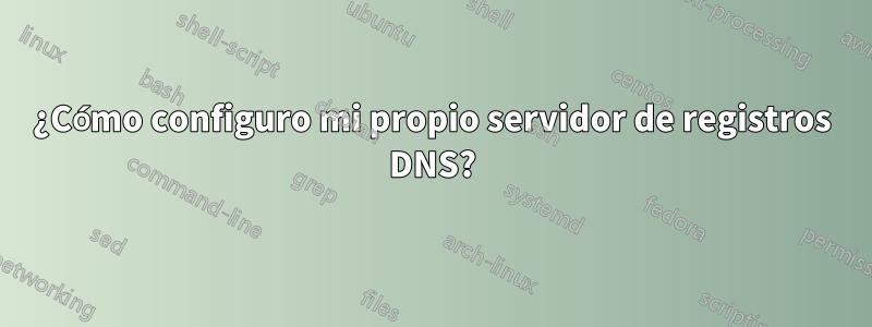 ¿Cómo configuro mi propio servidor de registros DNS?