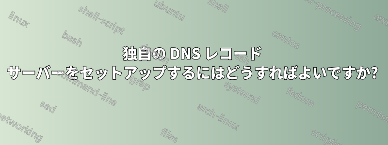 独自の DNS レコード サーバーをセットアップするにはどうすればよいですか?