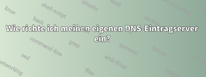 Wie richte ich meinen eigenen DNS-Eintragserver ein?