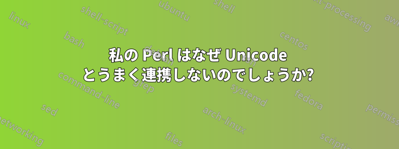 私の Perl はなぜ Unicode とうまく連携しないのでしょうか?