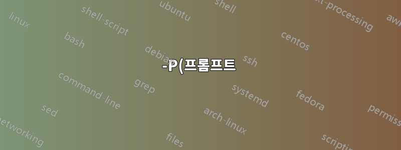 -P(프롬프트) 인수에 대한 sntp 대체