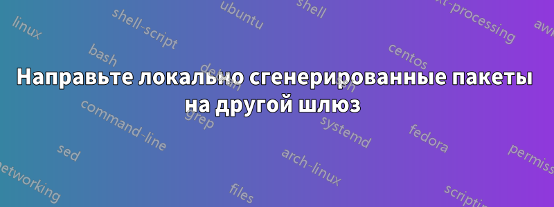 Направьте локально сгенерированные пакеты на другой шлюз 