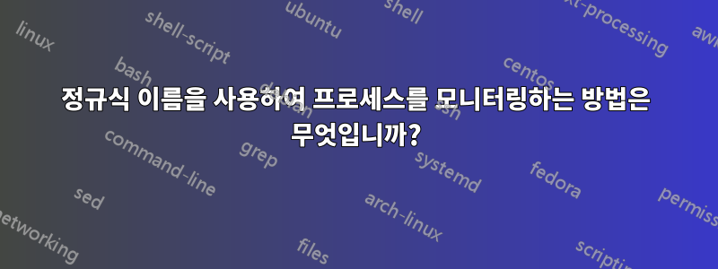 정규식 이름을 사용하여 프로세스를 모니터링하는 방법은 무엇입니까?