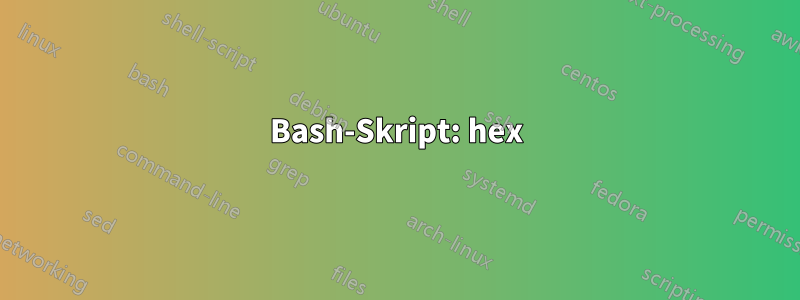 Bash-Skript: hex