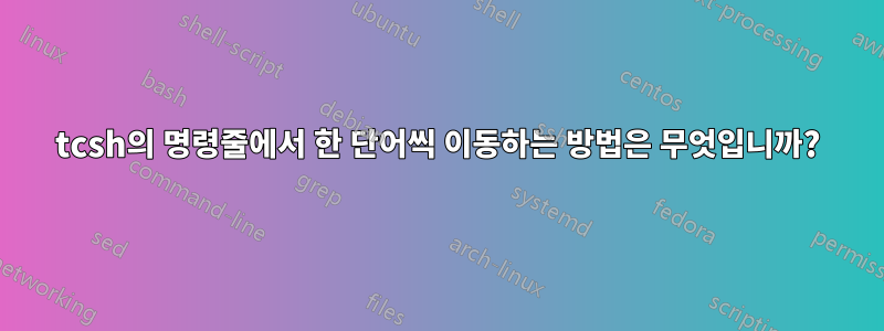 tcsh의 명령줄에서 한 단어씩 이동하는 방법은 무엇입니까?