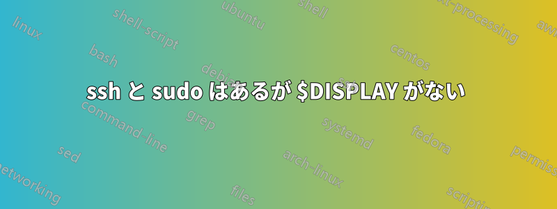 ssh と sudo はあるが $DISPLAY がない