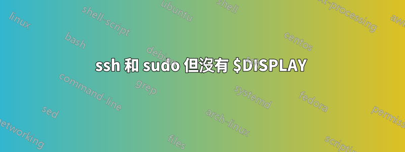 ssh 和 sudo 但沒有 $DISPLAY