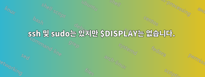 ssh 및 sudo는 있지만 $DISPLAY는 없습니다.