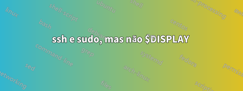 ssh e sudo, mas não $DISPLAY