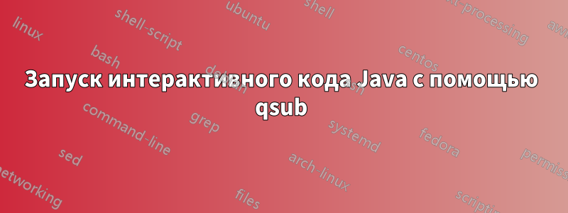 Запуск интерактивного кода Java с помощью qsub