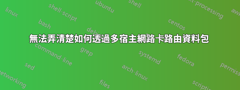 無法弄清楚如何透過多宿主網路卡路由資料包