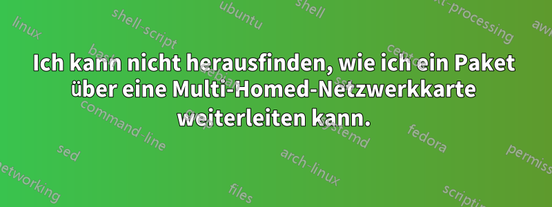 Ich kann nicht herausfinden, wie ich ein Paket über eine Multi-Homed-Netzwerkkarte weiterleiten kann.