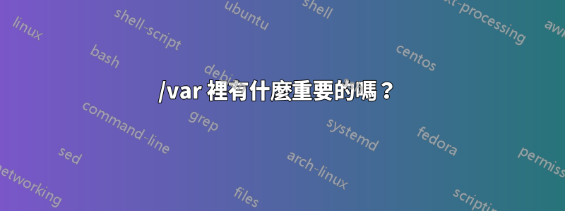 /var 裡有什麼重要的嗎？ 