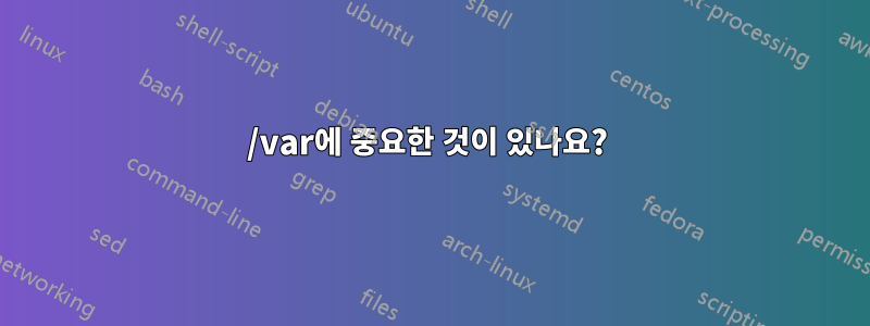/var에 중요한 것이 있나요? 