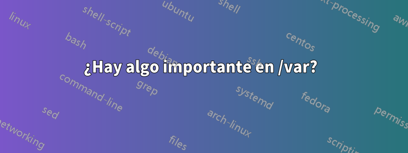 ¿Hay algo importante en /var? 