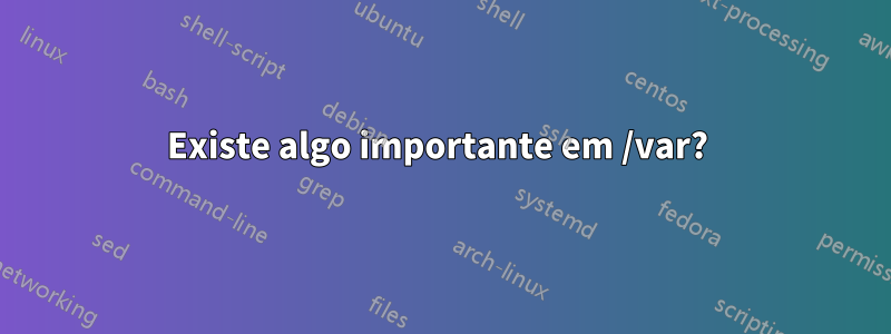 Existe algo importante em /var? 