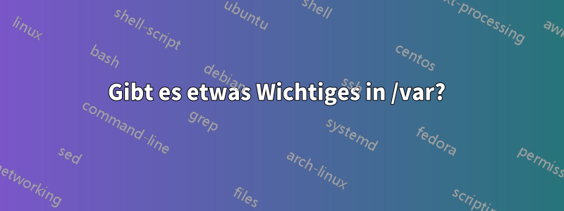 Gibt es etwas Wichtiges in /var? 