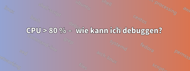 CPU > 80 % – wie kann ich debuggen?