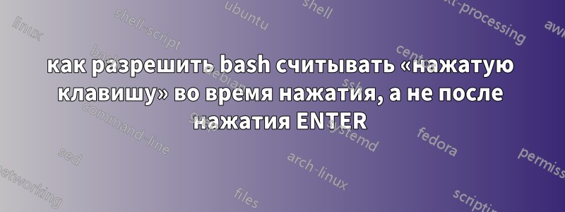 как разрешить bash считывать «нажатую клавишу» во время нажатия, а не после нажатия ENTER