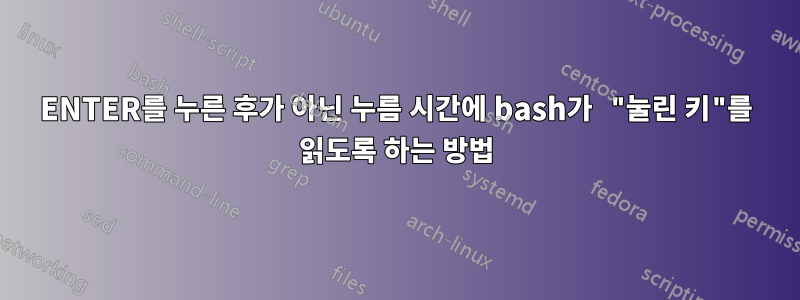 ENTER를 누른 후가 아닌 누름 시간에 bash가 "눌린 키"를 읽도록 하는 방법
