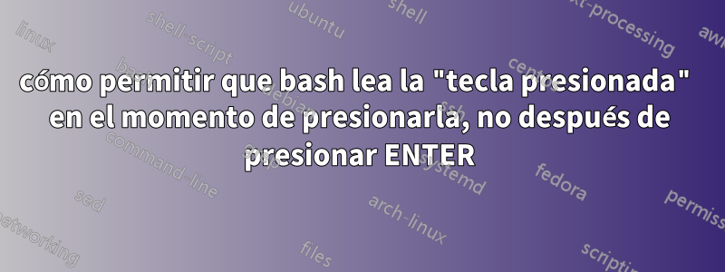 cómo permitir que bash lea la "tecla presionada" en el momento de presionarla, no después de presionar ENTER