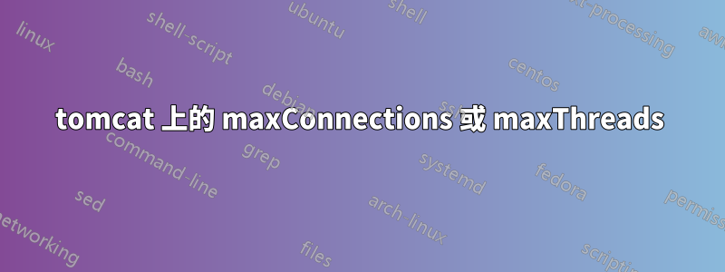 tomcat 上的 maxConnections 或 maxThreads