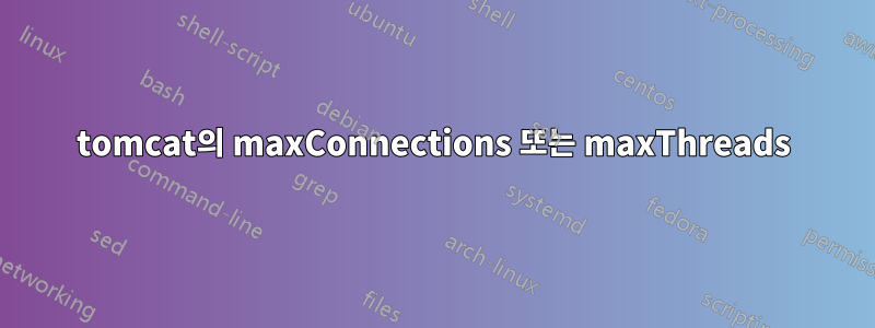 tomcat의 maxConnections 또는 maxThreads