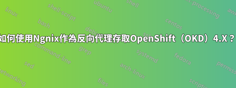 如何使用Ngnix作為反向代理存取OpenShift（OKD）4.X？