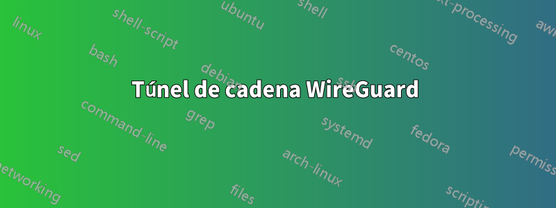 Túnel de cadena WireGuard
