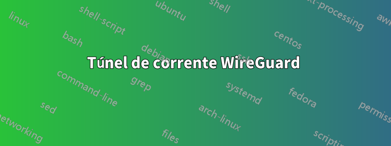 Túnel de corrente WireGuard