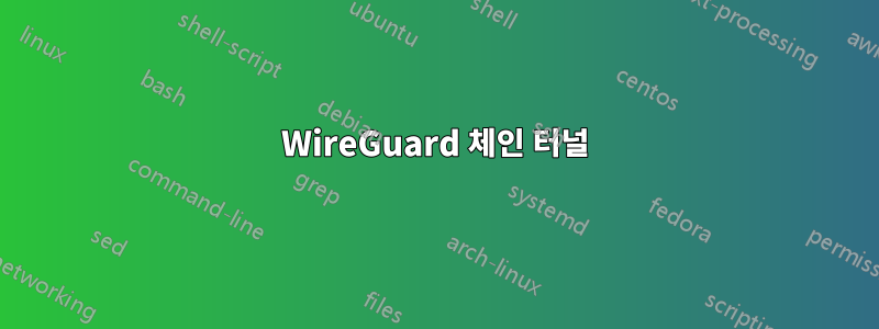 WireGuard 체인 터널
