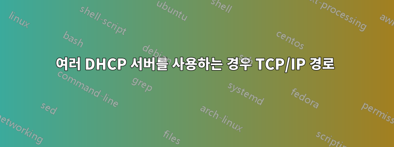 여러 DHCP 서버를 사용하는 경우 TCP/IP 경로