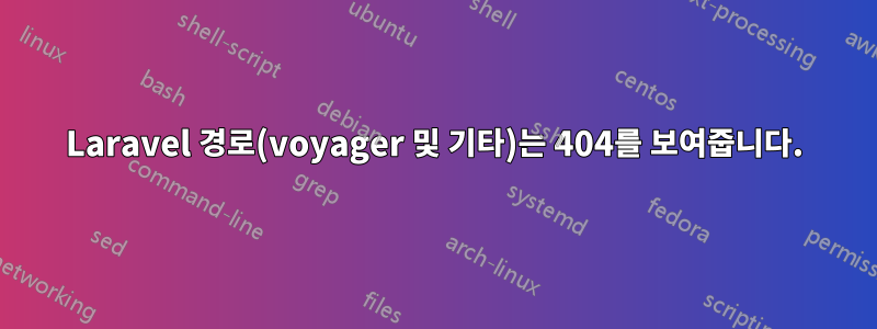 Laravel 경로(voyager 및 기타)는 404를 보여줍니다.